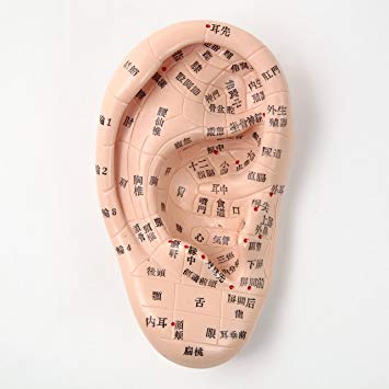 たった5秒で鼻水をとめる方法♪