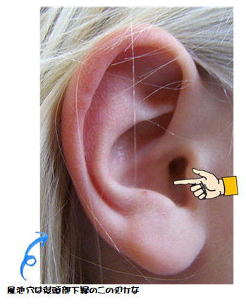 たった5秒で鼻水をとめる方法♪